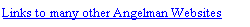 תיבת טקסט: Links to many other Angelman Websites